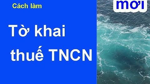 Hướng dẫn làm báo cáo thuế thu nhập cá nhân