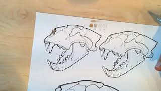 Stipple 101
Learn the basics of stipple technique (shading with dots) to add value and volume to your drawings.
Lion skull worksheet: https://johnmuirlaws.com/wp-content/uploads/2022/01/Lion-Skull-line.pdf Stipple 101