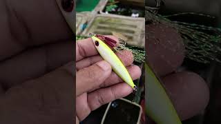 Night seeker Jig 30grams 3D eyes Luminous body #fishing #fishinglure #fishinglife