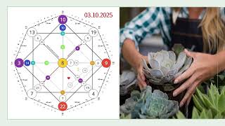 Число дня 🔮 Что 03.10.2025 нас ждет?