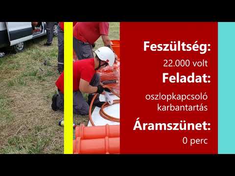 Videó: Mi volt a haszna a rabszolgáknak, akik a munka feladatrendszere alatt dolgoztak?