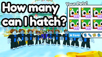 How many HUGE JOLLY PENGUINS can I hatch with 10 accounts in 24 HOURS?!