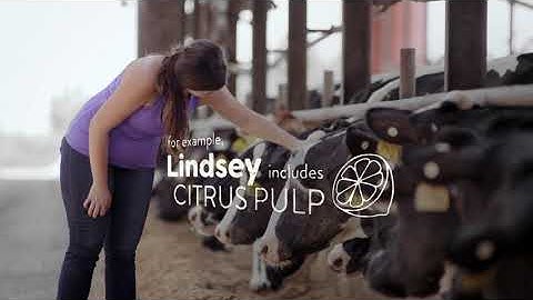 How Dairy Farmers Reduce Food Waste