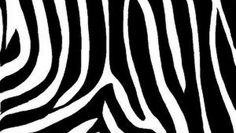 How to draw Zebra print