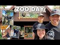 Best zoo in texas  zoo day vlog gladys porter zoo in brownsville tx