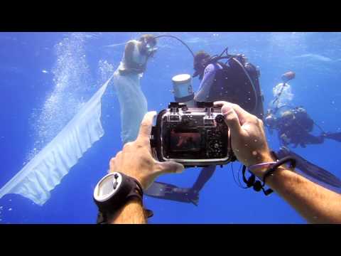 Underwater Fashion Shoot taken by two Nikon Coolpi...