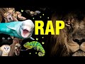 Aprende los 263 animales que existen con este rap  rap  cancin de los animales