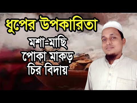 ভিডিও: কোন ধূপ ব্যবহার করবেন?