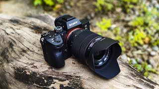 10 Full Frame Mirrorless Camera You Should Check Out!