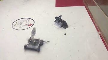 Breakpoint Vs. Serra - Antweight Fight 1 - Taproom Tap-out #4