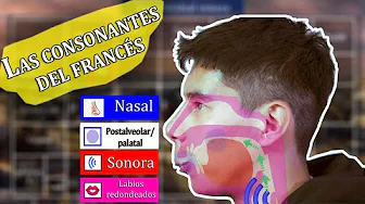 Las Consonantes de la Lengua Francesa | AFI #mesdelafrancofonía