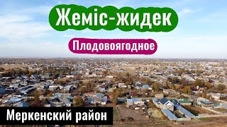 Плодовоягодное | Село Жемис Жидек, Меркенский район, Жамбылская область, Казахстан, 2025 год.
