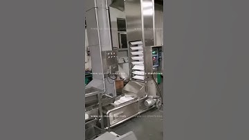 Automatic Z type bucket chain conveyor feeding machine for bag packaging machine  elevator bucket fe