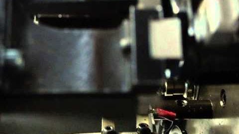 Extension spring with end loops