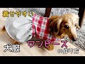 犬服　平らなワンコ服の作り方　dog clothes ハンドメイド　ワンピース