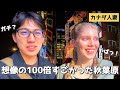 妻が秋葉原に大興奮！日本の“オタク文化”に触れた結果… / Finally made it to Akihabara (it's much better than Shibuya..)