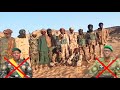 Inalillah 🇳🇪🇲🇱 Yan Ta adda Sun Saki Video Zasu Kai Mummunar Hari Niger 🇳🇪 Kamar Yadda Suka Kai Mali
