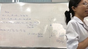 Thực Hành Thực Vật Dược buổi 4.5