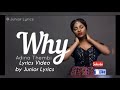 Adina Thembi Why Lyrics Video mp3