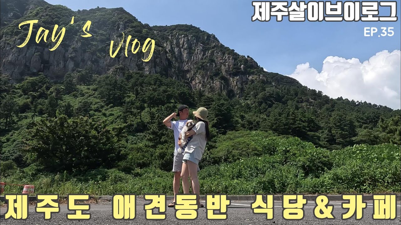 [제주살이 브이로그]제주도 애견동반 식당, 서귀포 애견동반 카페, 강아지동반 여행추천