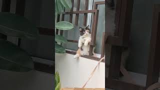 Download Lagu Ganda Ganda mo Te #love #everyone MP3