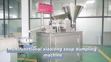 Multifunctional xiaolong soup dumpling machine can compete with hand-made ones