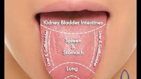 SDM E-Learning: Tongue diagnosis Introduction & general Instruction Part-1 (Dr. Geetha B Shetty)