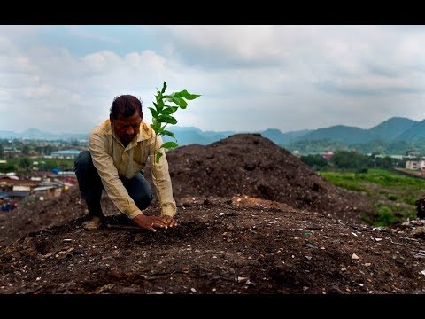 Ο Άνθρωπος ξεκληρίζει τη χλωρίδα: 600 είδη φυτών εξαφανίστηκαν τα τελευταία 250 χρόνια