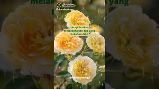 Download Lagu Firman Tuhan tidak akan kembali dengan sia-sia MP3