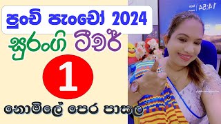 පුංචි පැංචෝ 2024 නොමිලේ පෙර පාසල | Pera Pasal  Weda | Online  Preschool