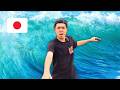 Easy Japanese - Nature【Beginner】