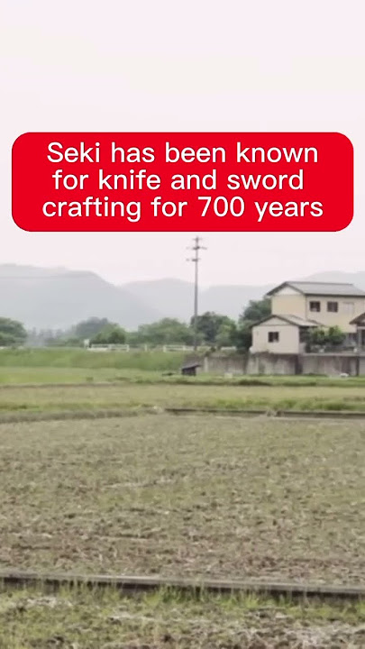 All MIYABI knives are handcrafted in Japan’s city of blades, Seki, Japan. 🔪 #shorts #miyabi