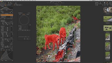 Capture One Create a Mask with ColorRange Tool