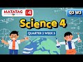 Video Tutorial Quiz