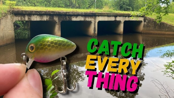 Using Mini Crankbait For Bluegill 