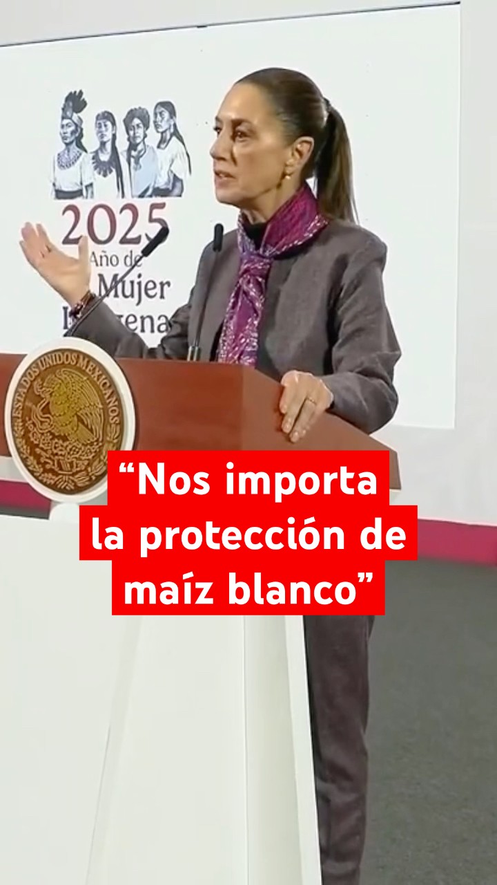 Sheinbaum destaca la importancia de preservar el maíz blanco criollo por su cultura
