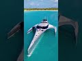 Space age watercraft, Adastra was launched in 2012 by... #Shorts #yachtlord