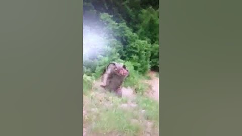 Crazy RZR hill climb WOW a must watch Rush Kentucky