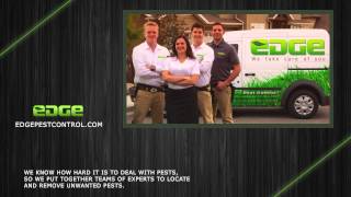 Edge Pest Control | Aim to Keep the Family Safe