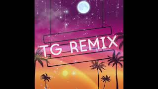 TAKE IT ON THE RUN  (TG REMIX)