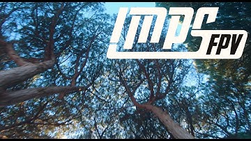 Proximity Flow - FPV FREESTYLE