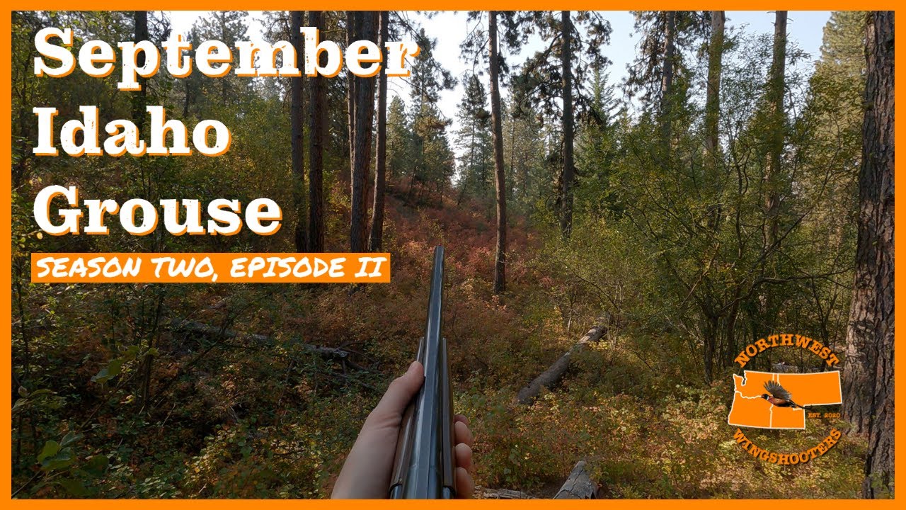 September Idaho Grouse Season Two Episode II YouTube
