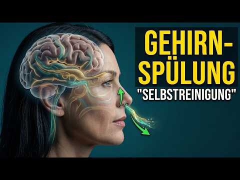 Das Gehirn wäscht sich selbst, und die Nase ist der Abfluss