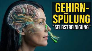 Glymphatik aktivieren: So reinigt dein Gehirn sich nachts von selbst