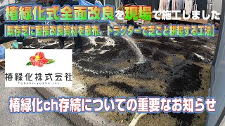 【芝に椿緑化式全面改良】現場で施工してきました最後に重要なお知らせ。