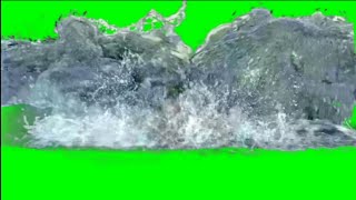 Green Screen effect of \