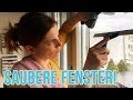 Fenster putzen leicht gemacht | Fenster richtig sauber machen