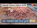 Yeaola Onion Crop Damage | येवल्यातील कांदा उत्पादक शेतकऱ्यांचं पावसामुळे लाखो रुपयांचं नुकसान