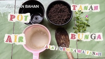 Tugas Video Teks prosedur || Cara Menanam Bunga 