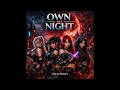 Own The Night